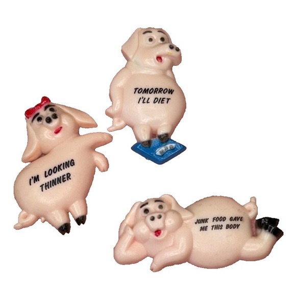 Other - VTG Pig Refrigerator Magnet Lot of 3 Humor About Dieting